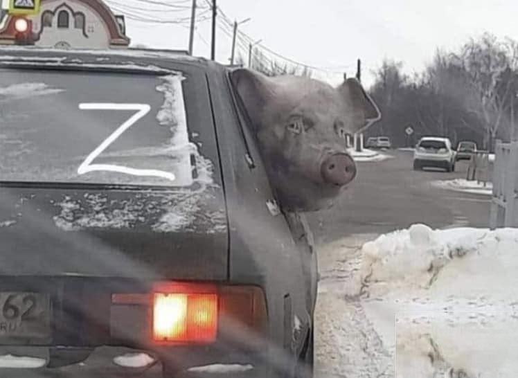 Obrázek Ruskyj molodec odchazi na front