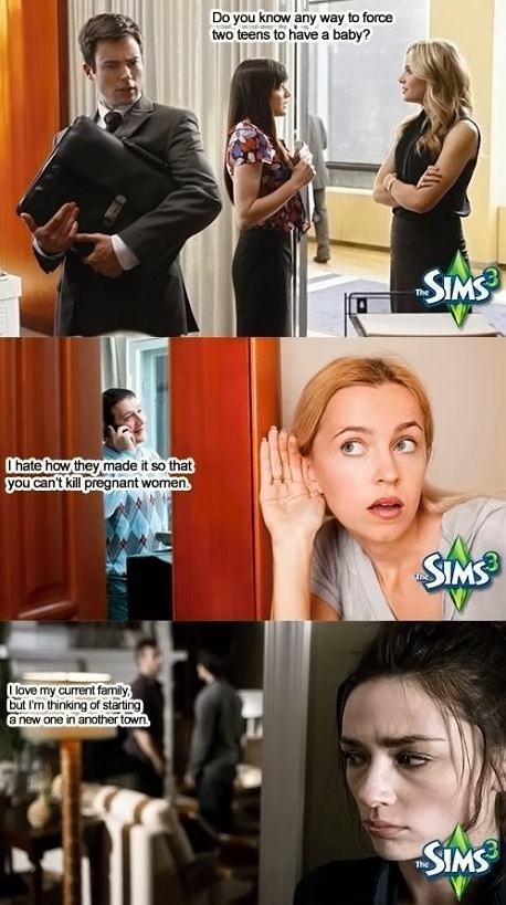 Obrázek SIMS3  