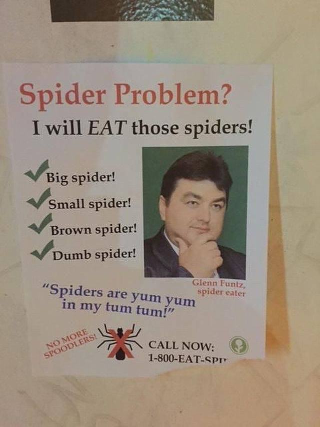 Obrázek SPiderProblem