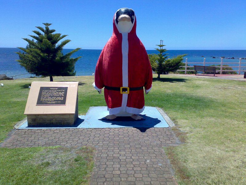 Obrázek Santa pinguin