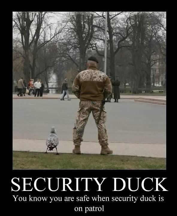 Obrázek Security-Duck.  