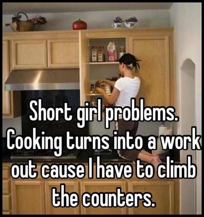 Obrázek Short Girl Problems766