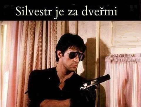 Obrázek Silvestr dvere