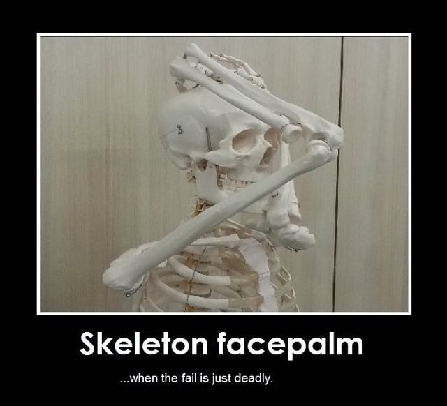 Obrázek Skeleton facepalm 