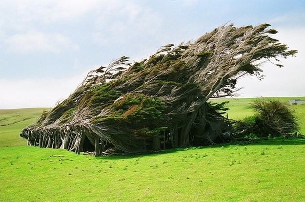 Obrázek Slope Point Novy Zeland