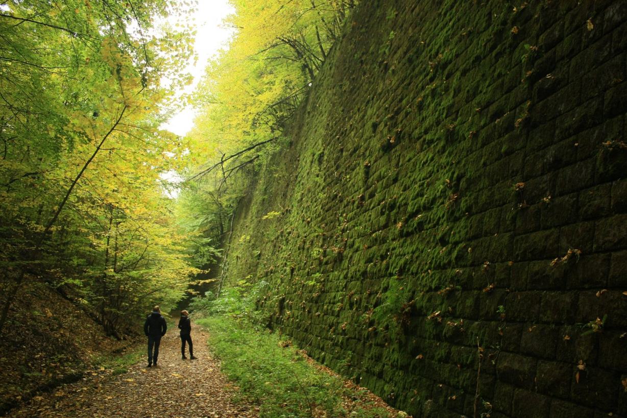 Obrázek Slovensko - mur na useku gemerskych spojok pri Revucej