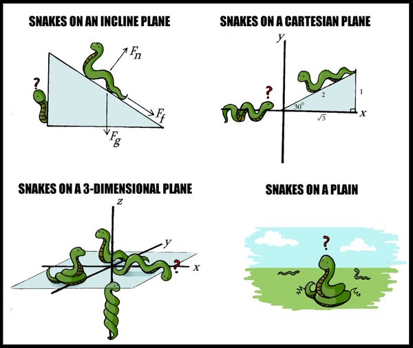 Obrázek Snakes on a Plane