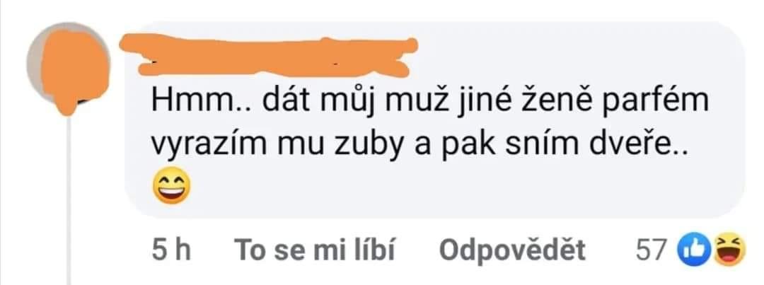 Obrázek Snim to nebo bdim