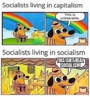 Obrázek Socialist POV