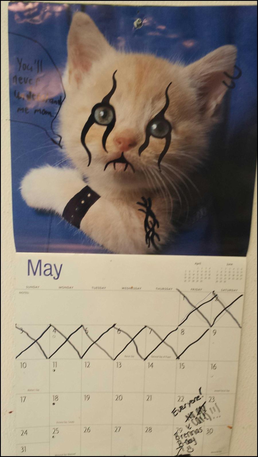 Obrázek Someone keeps doing this to our Kitten Calendar at work