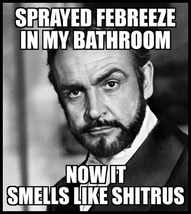 Obrázek Sprayed Some Febreeze