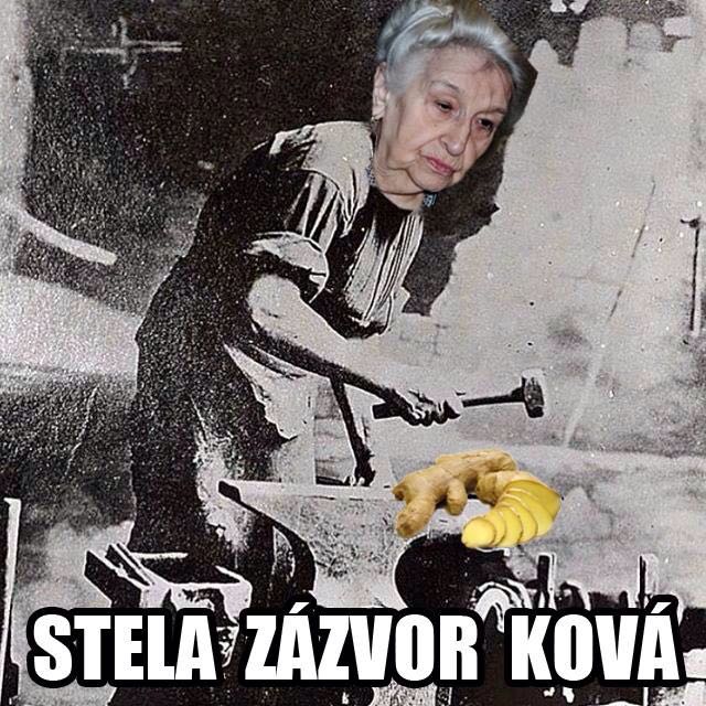 Obrázek Stela Zazvorkova