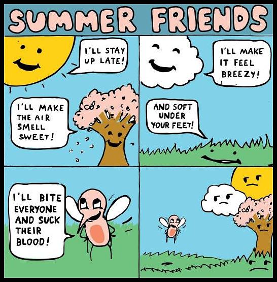 Obrázek SummerFriends 