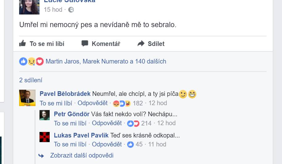 Obrázek TLDR Belobradek