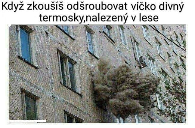 Obrázek Termoska z lesa