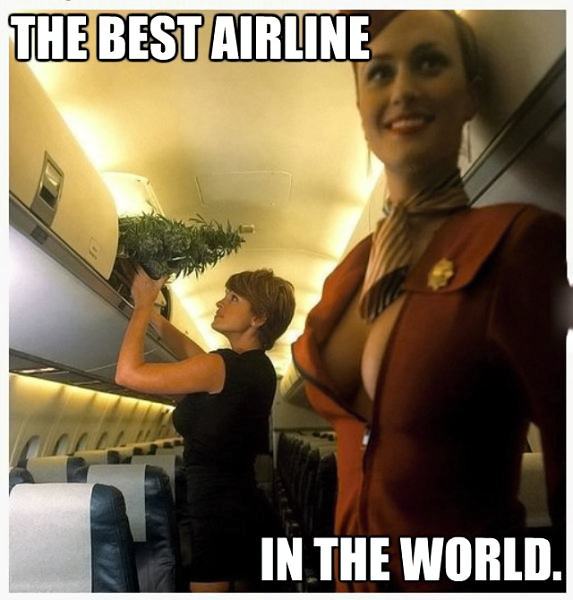 Obrázek TheBestAirline