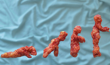 Obrázek The Evolution of Man - cheetos