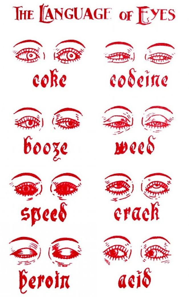 Obrázek The Language of Eyes