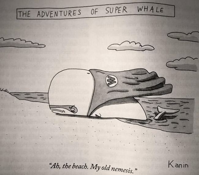 Obrázek The adventures of Super Whale