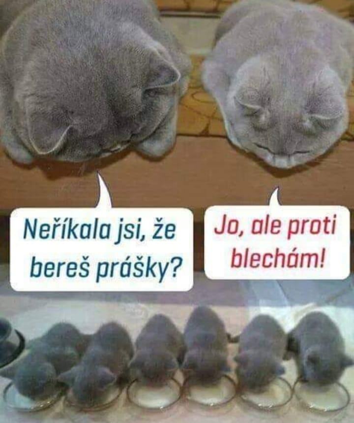 Obrázek Tolik blech