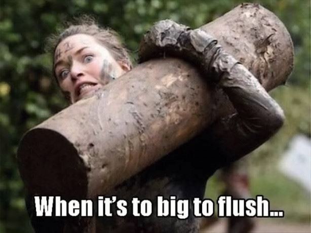 Obrázek Too Big To Flush