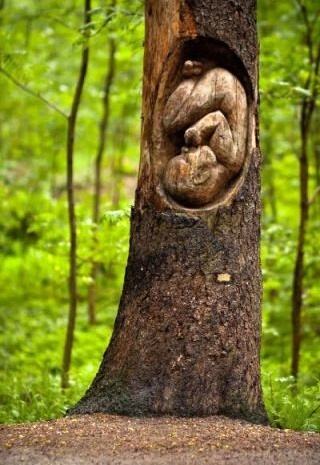 Obrázek Tree sculpture baby embryo