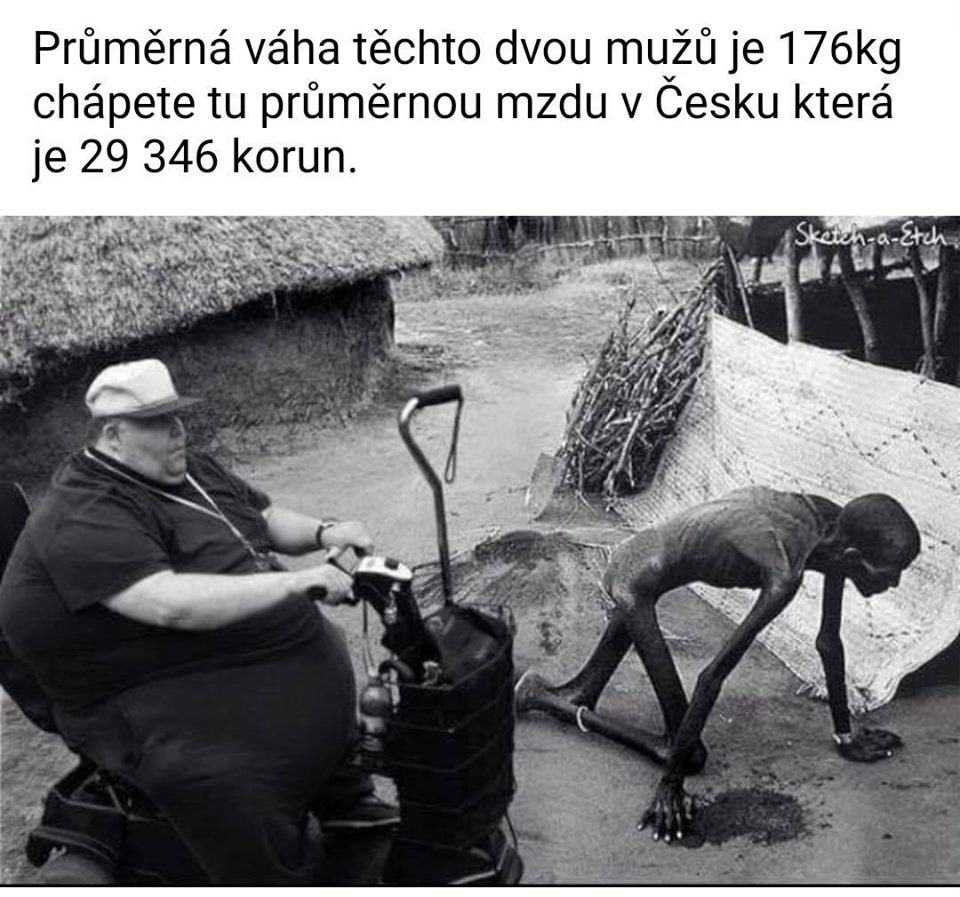 Obrázek Truetrue