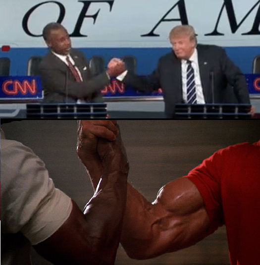 Obrázek Trump - Carson 2016