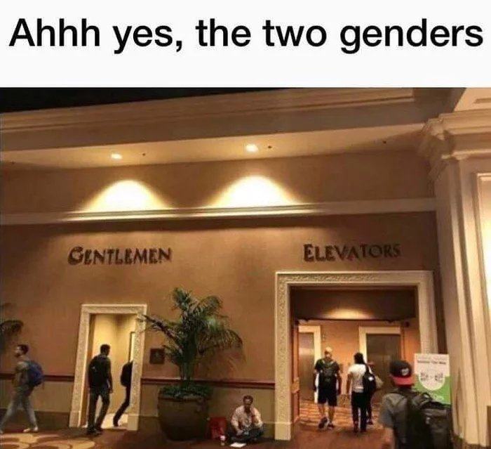 Obrázek Two genders