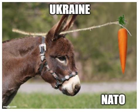 Obrázek Ukrajina ma NATO nadosah