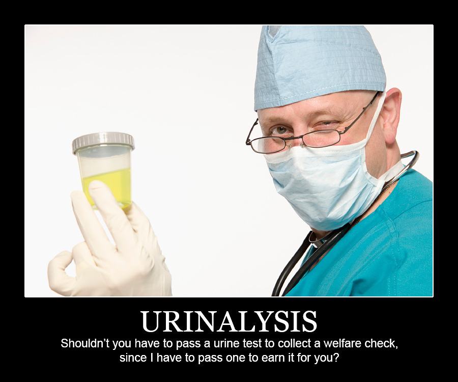 Obrázek Urinalysis  