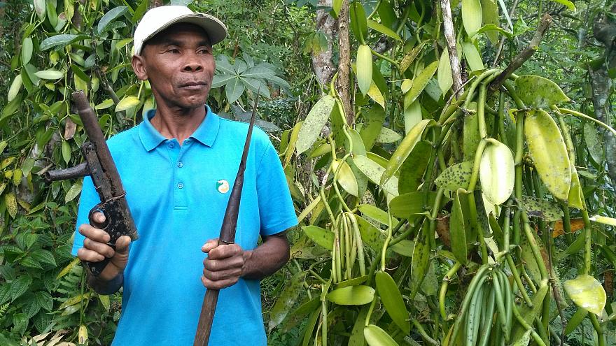 Obrázek Vanilla farmer