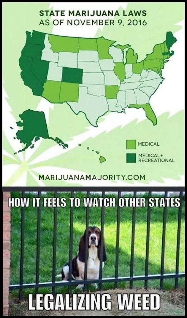 Obrázek Weed Laws