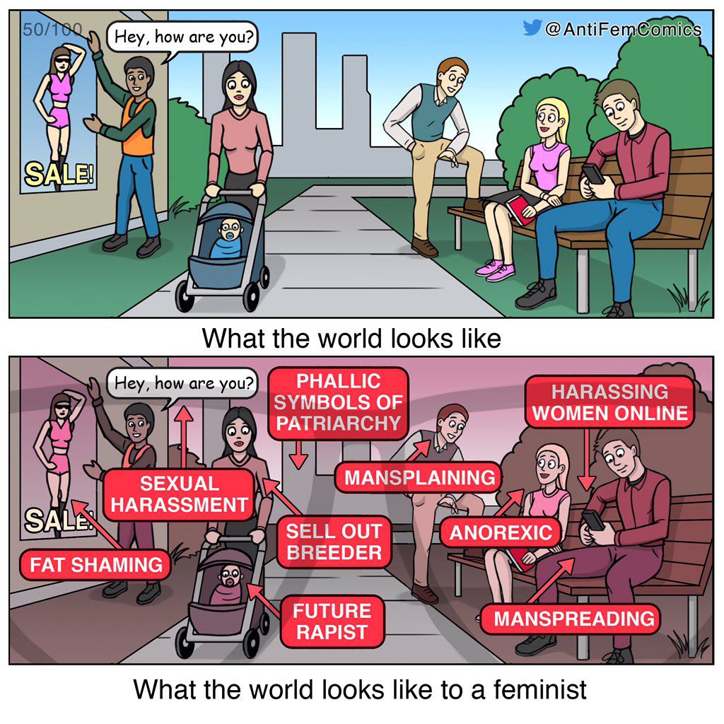 Obrázek What the world looks like to a feminist