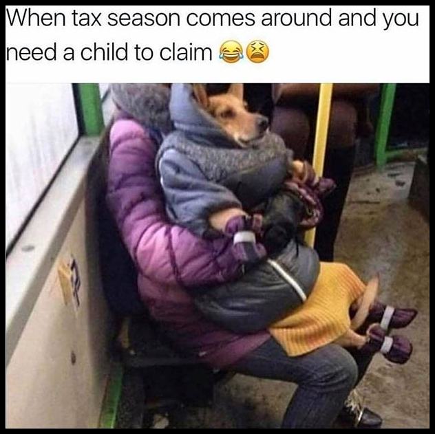 Obrázek When Tax Season Rolls Around