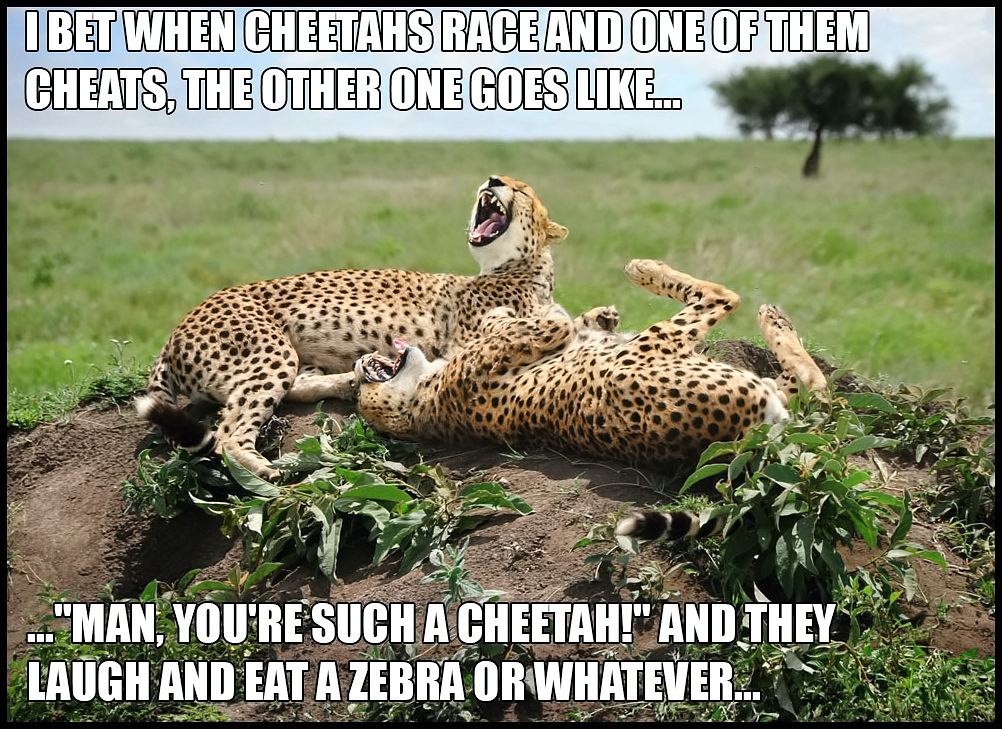 Obrázek When cheetahs cheat