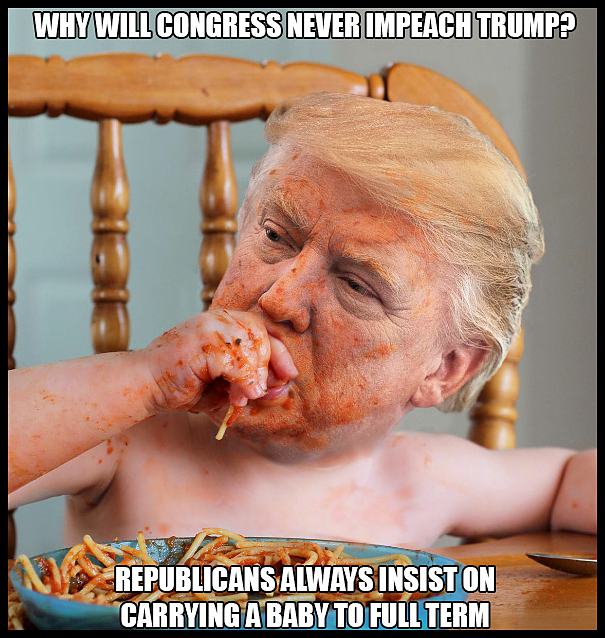 Obrázek Why Will Congress Never Impeach Trump