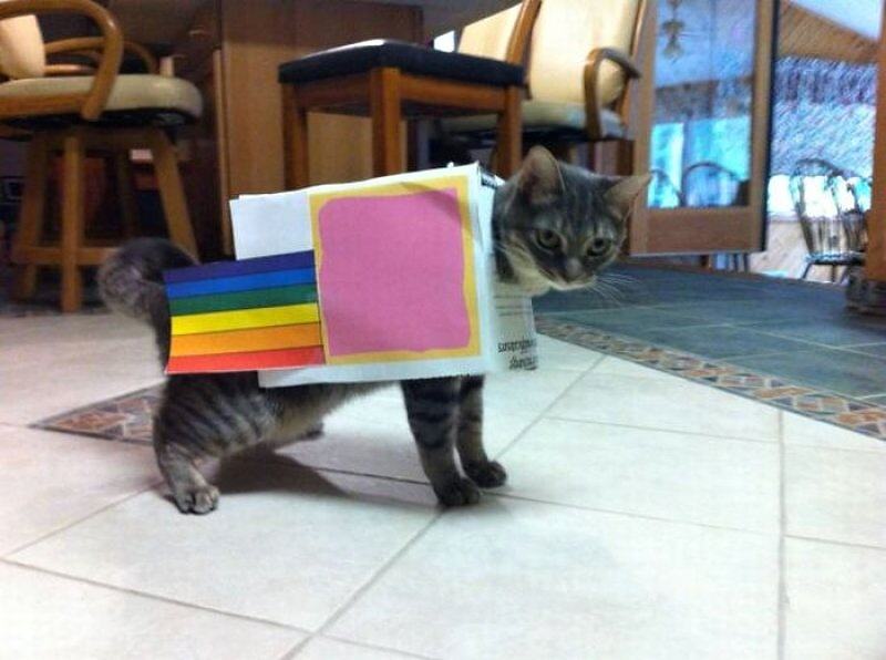 Obrázek X- Nyan Cat Costume