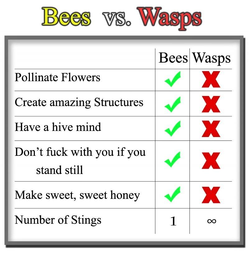 Obrázek X- X Bees vs Wasps