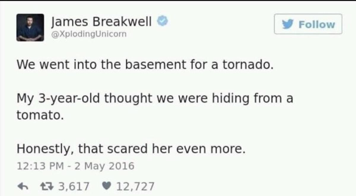 Obrázek You say Tornado I say Tomato