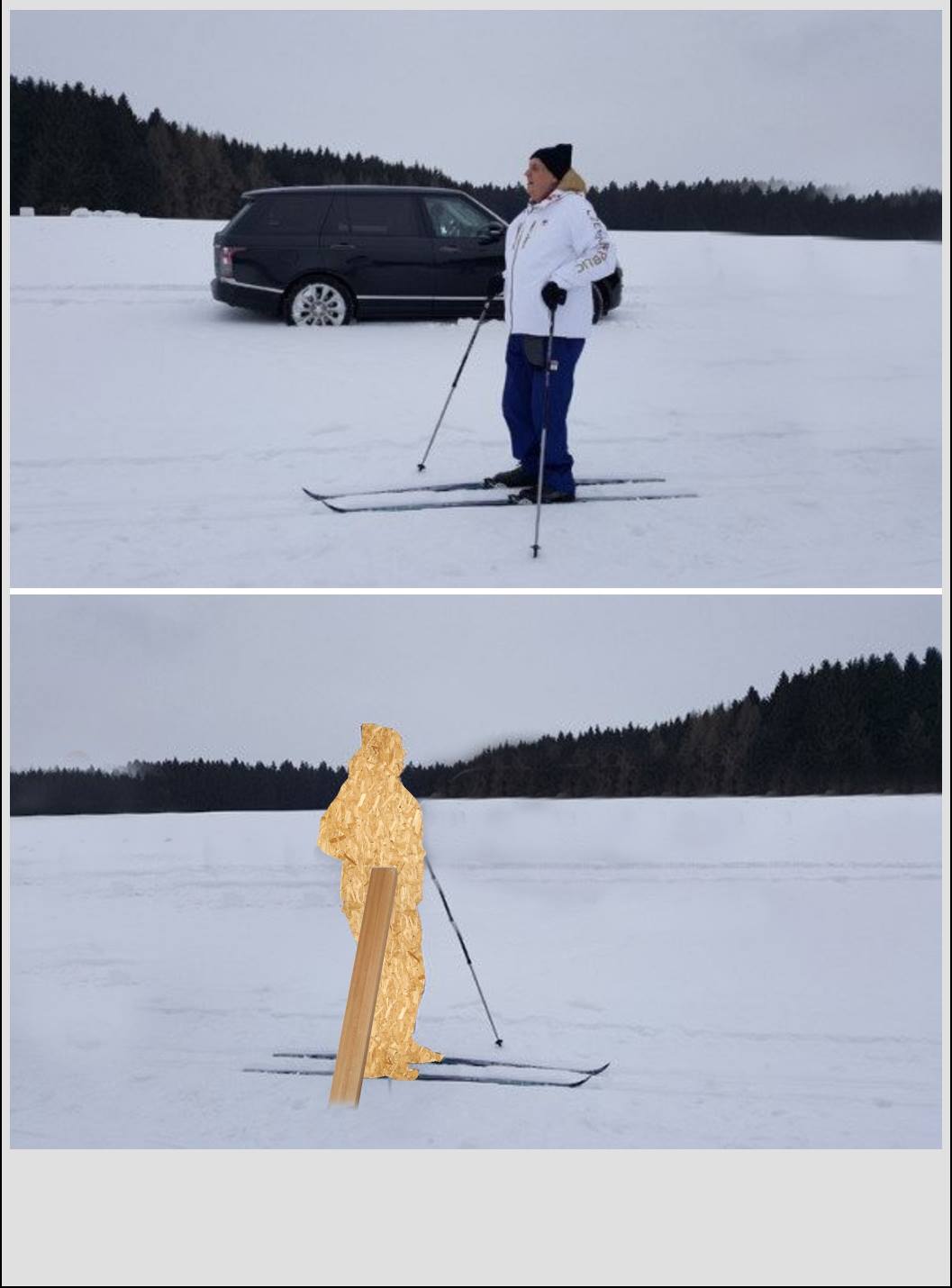 Obrázek Zeman a bezky