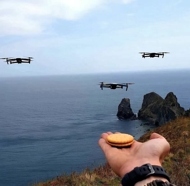 Obrázek  feeding drones 