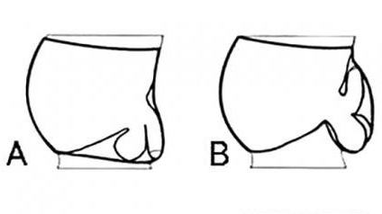 Obrázek a or b