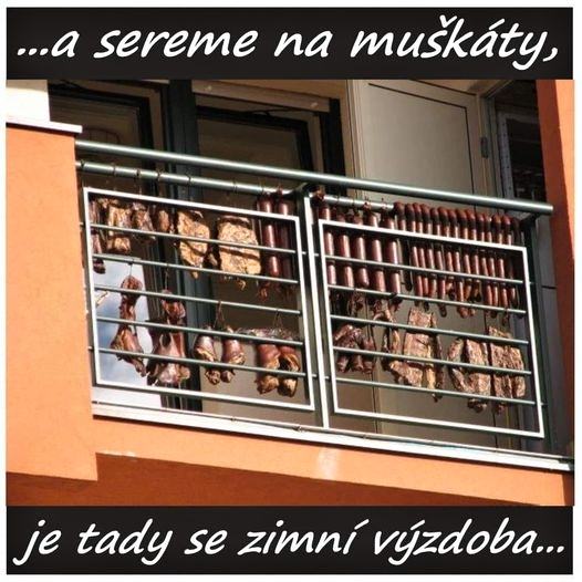 Obrázek a sereme