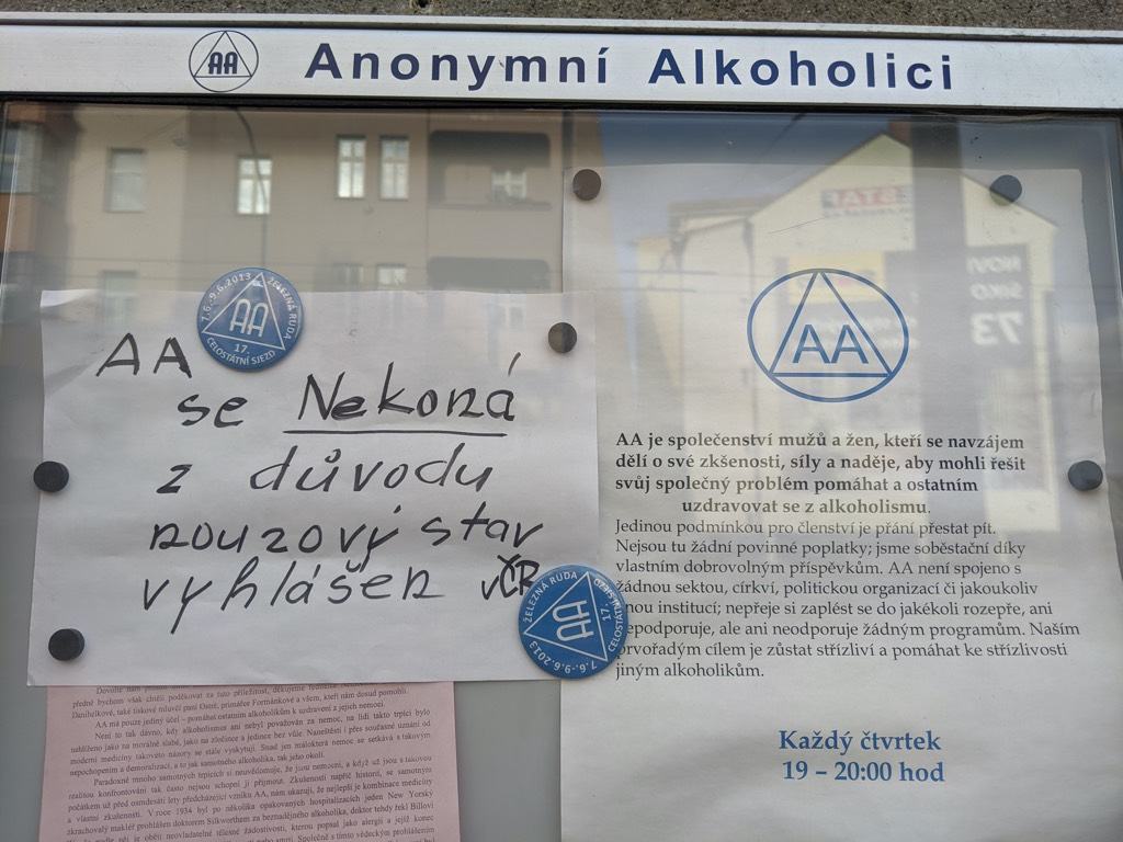 Obrázek anonymni-korona