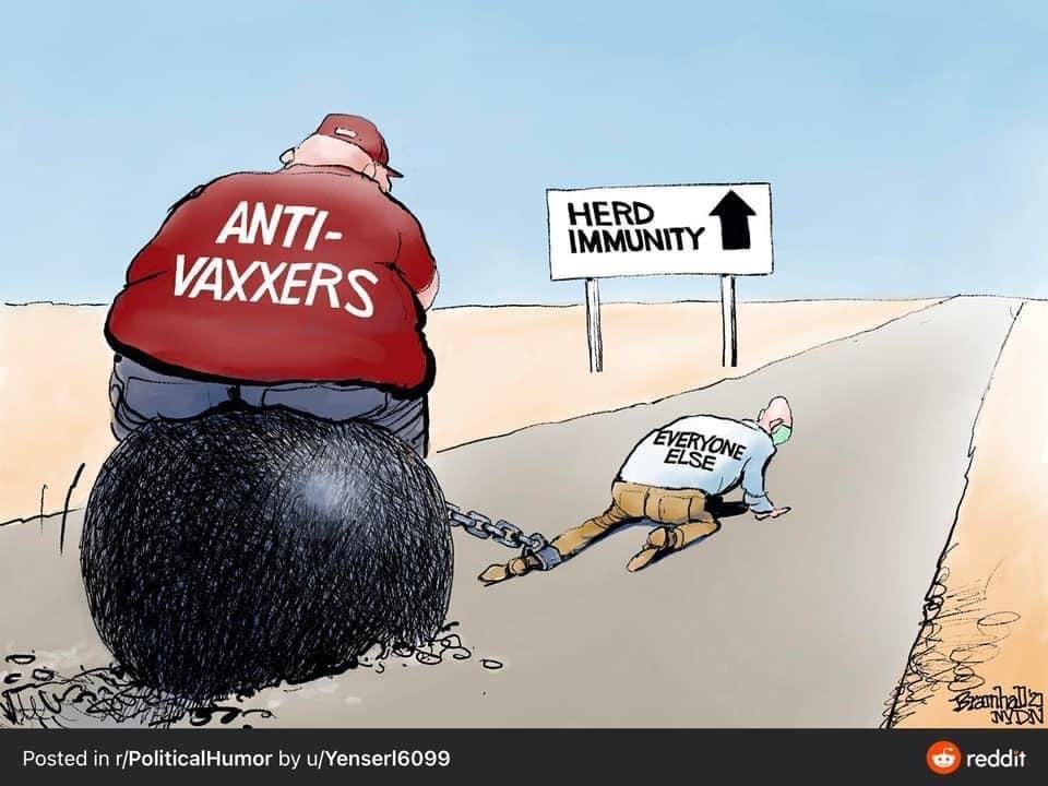 Obrázek antivax vs everybody else