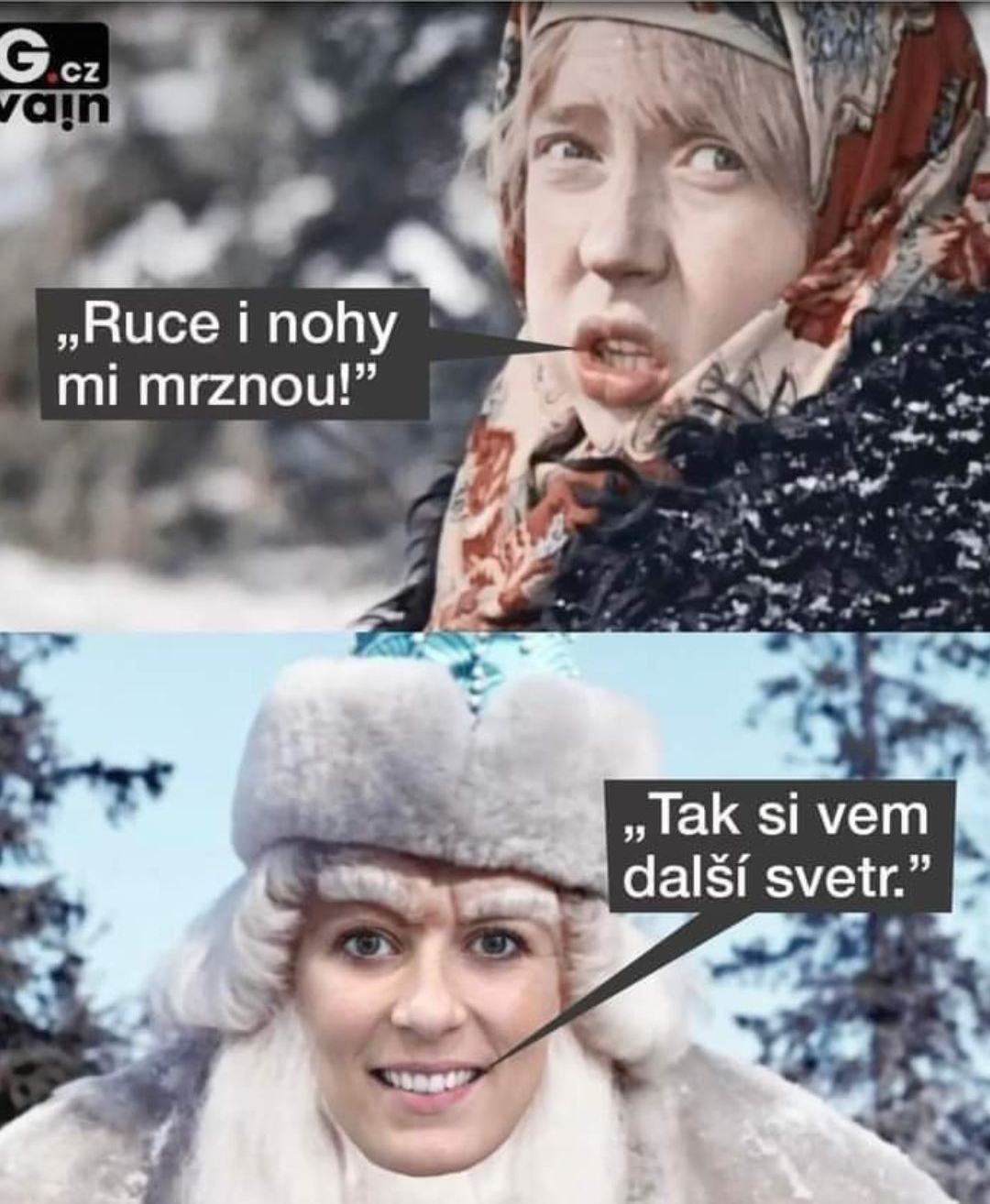 Obrázek babicka mraznicka