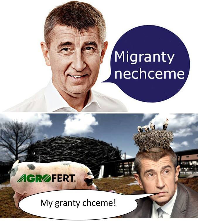 Obrázek babis migranti