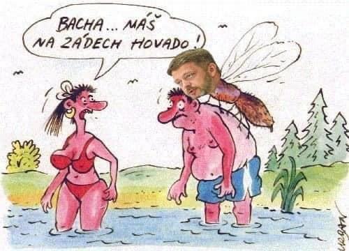 Obrázek bacha hovado