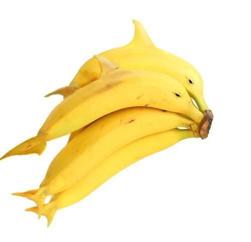 Obrázek bananky
